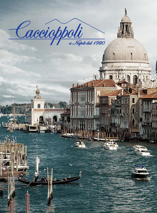 Caccioppoli Sun Dream Lotta Gray Wool Silk Jacket