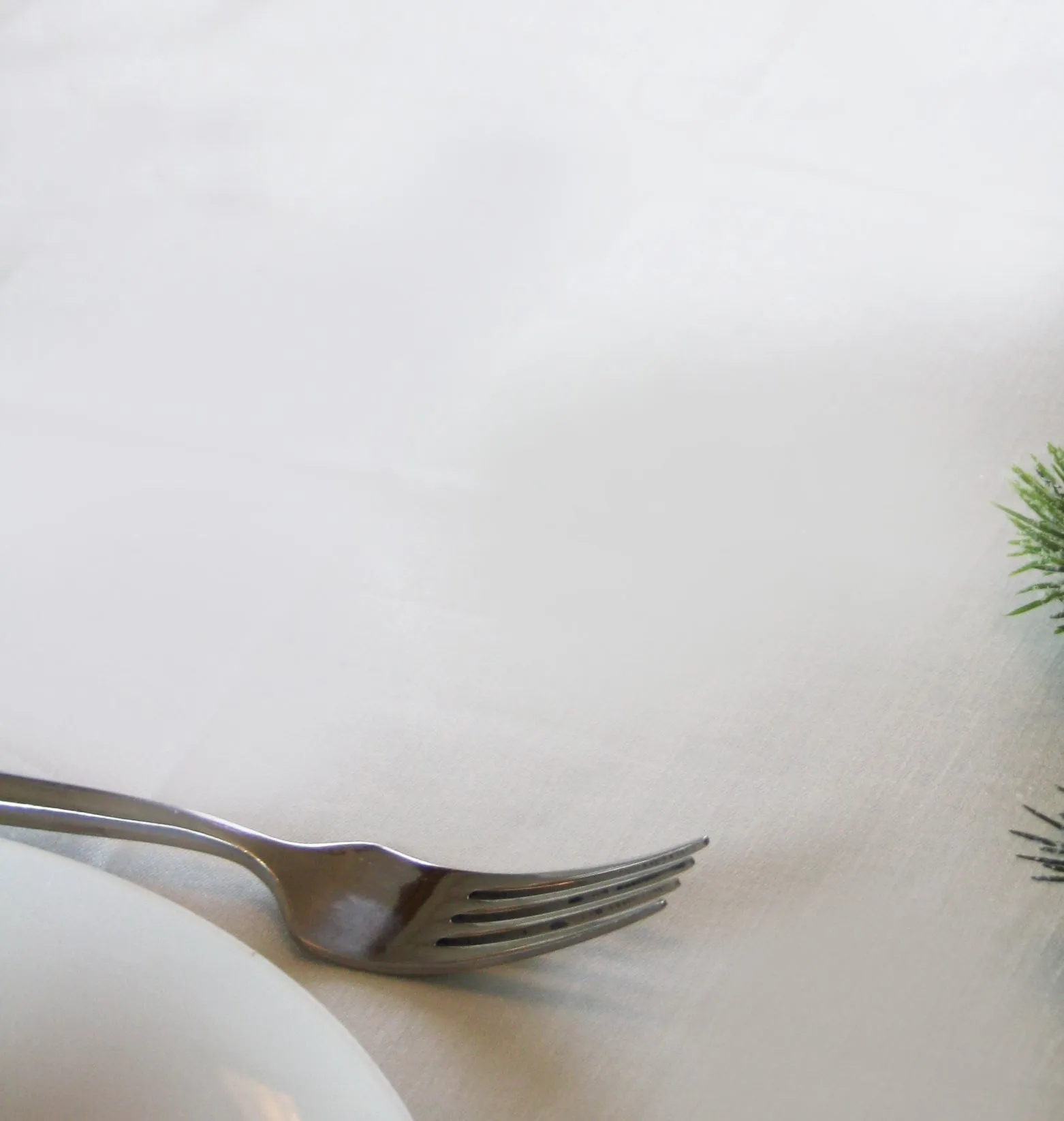 Double Damask Smooth Irish Linen Placemat