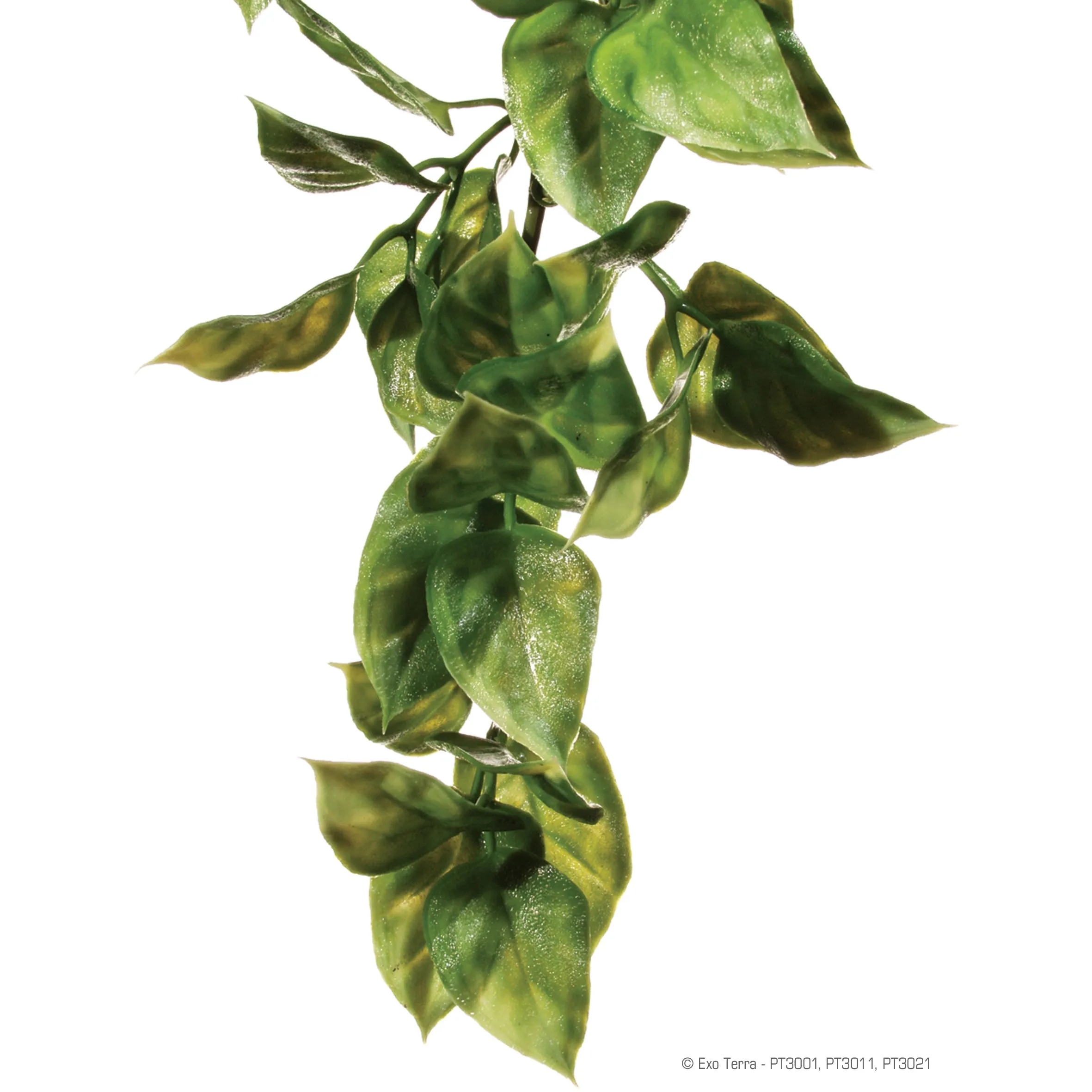 Exo Terra Plastic Amapallo Plant