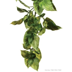 Exo Terra Plastic Amapallo Plant