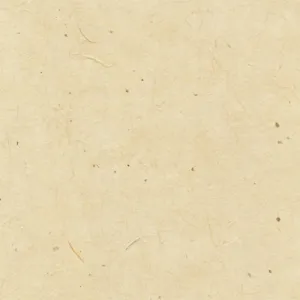 Gampi Natural Smooth