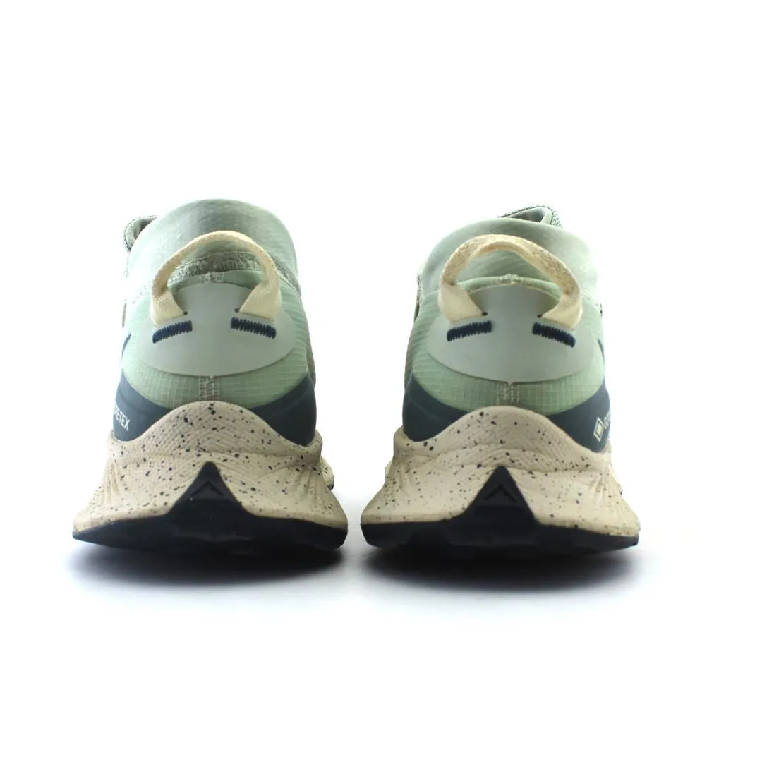 NIKE PEGASUS TRAIL 3 GORE-TEX