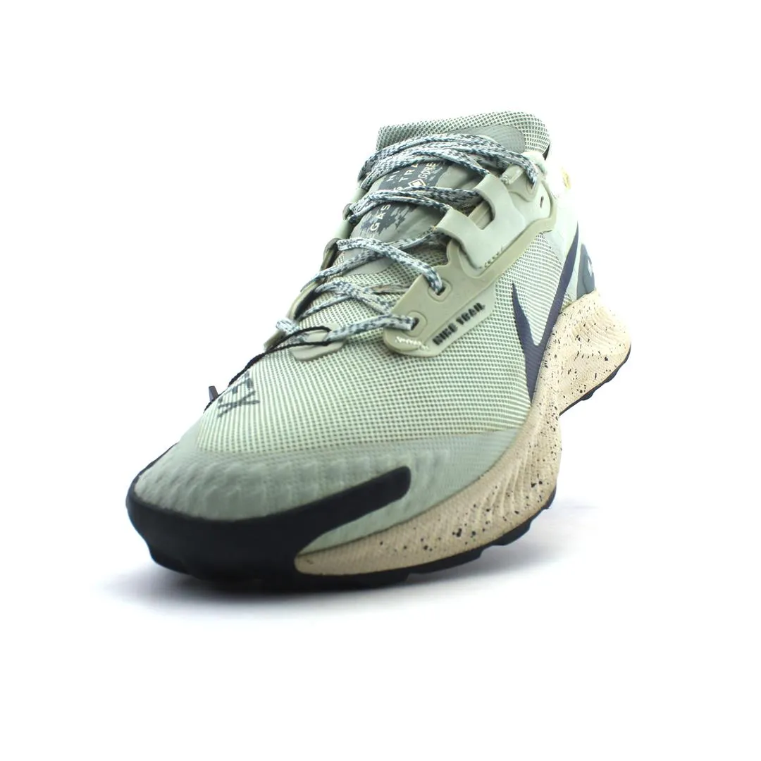 NIKE PEGASUS TRAIL 3 GORE-TEX