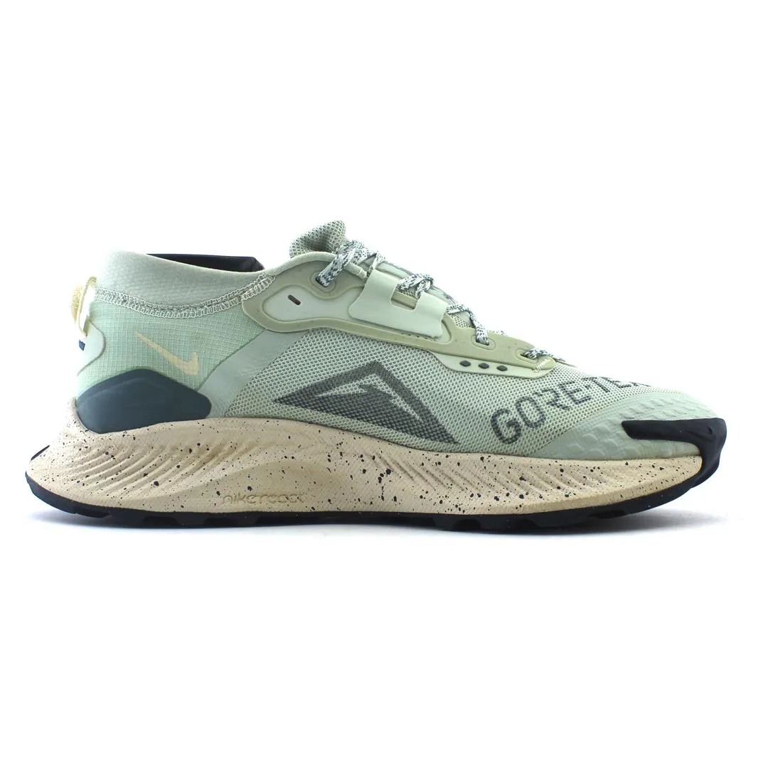NIKE PEGASUS TRAIL 3 GORE-TEX