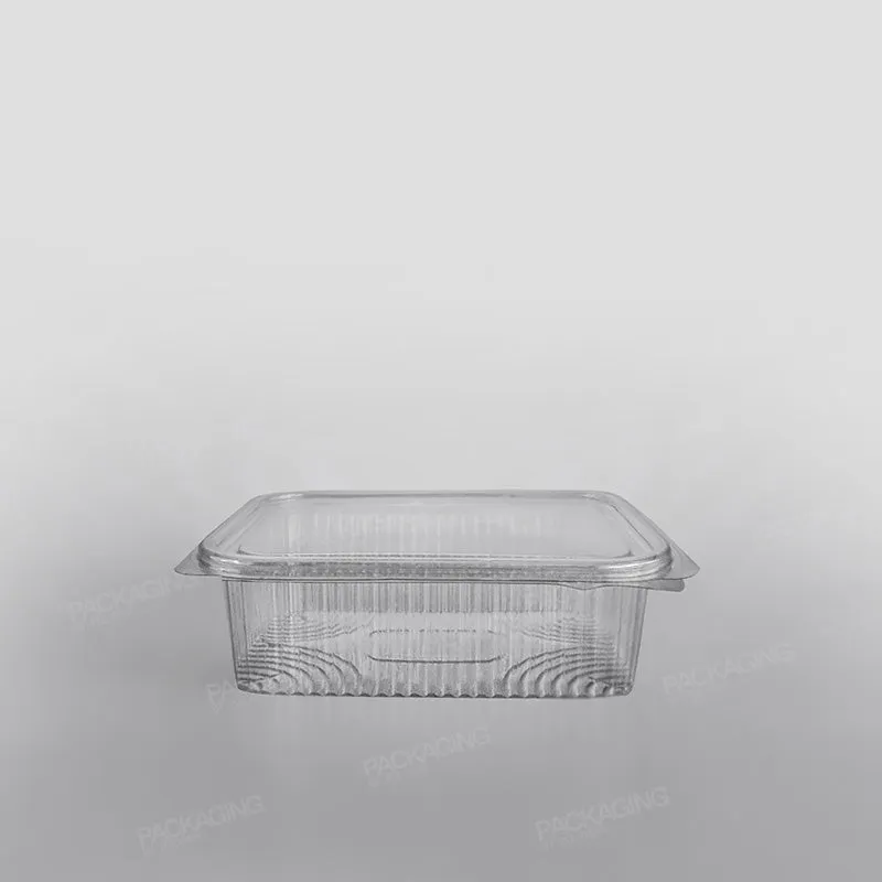 Somoplast Clear Hinged Rectangular Plastic Container