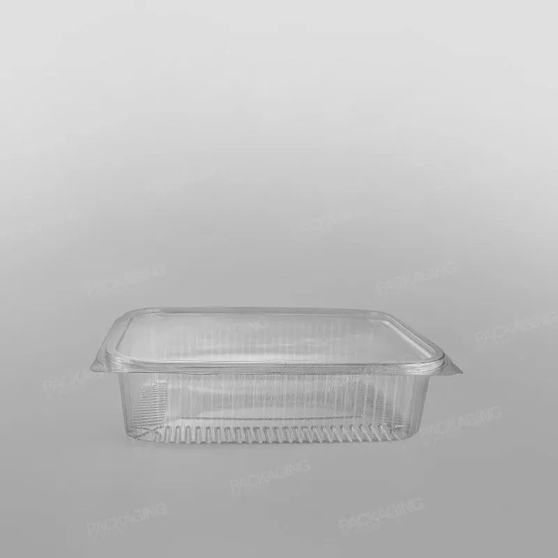 Somoplast Clear Hinged Rectangular Plastic Container