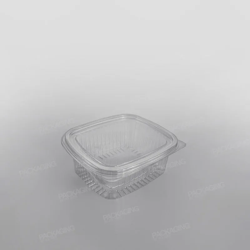 Somoplast Clear Hinged Rectangular Plastic Container