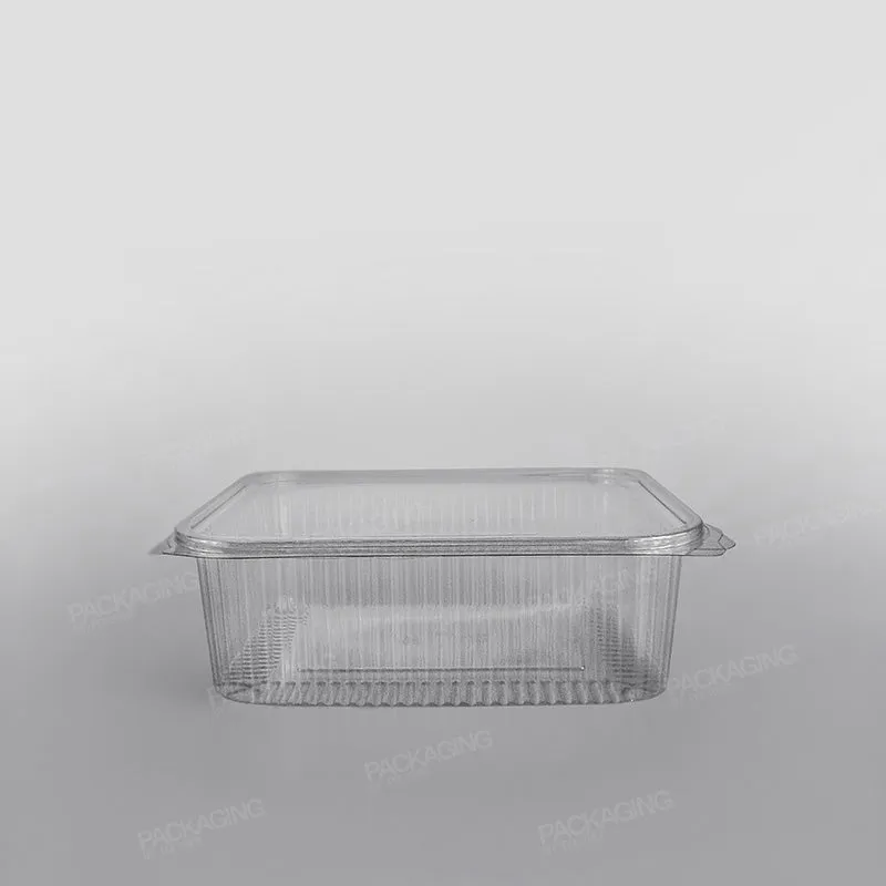 Somoplast Clear Hinged Rectangular Plastic Container