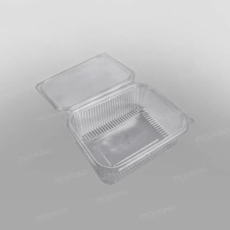 Somoplast Clear Hinged Rectangular Plastic Container