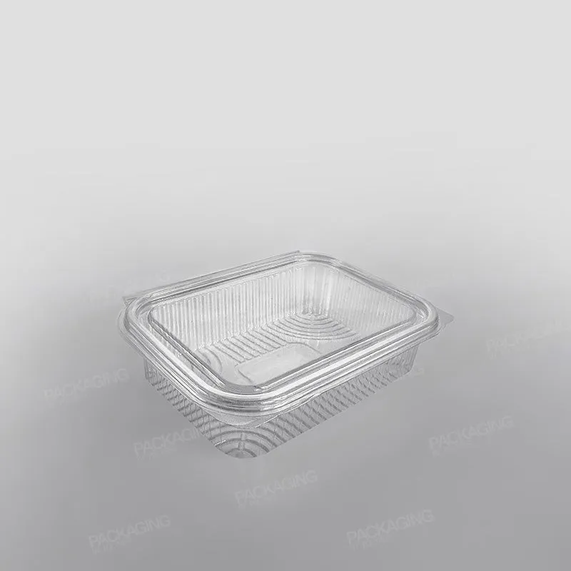 Somoplast Clear Hinged Rectangular Plastic Container