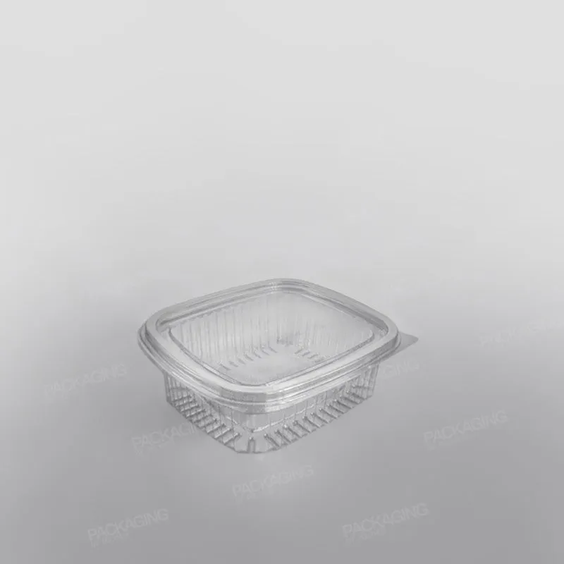 Somoplast Clear Hinged Rectangular Plastic Container