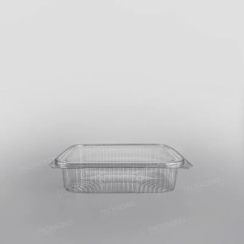 Somoplast Clear Hinged Rectangular Plastic Container