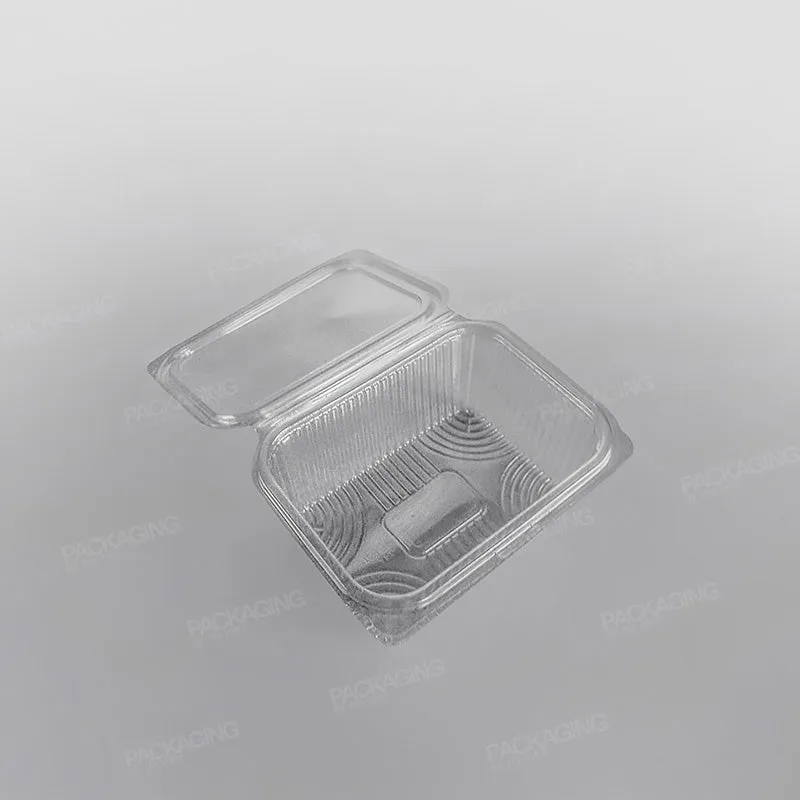 Somoplast Clear Hinged Rectangular Plastic Container