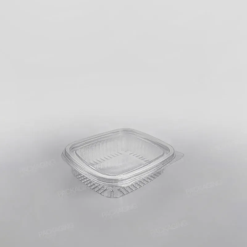 Somoplast Clear Hinged Rectangular Plastic Container