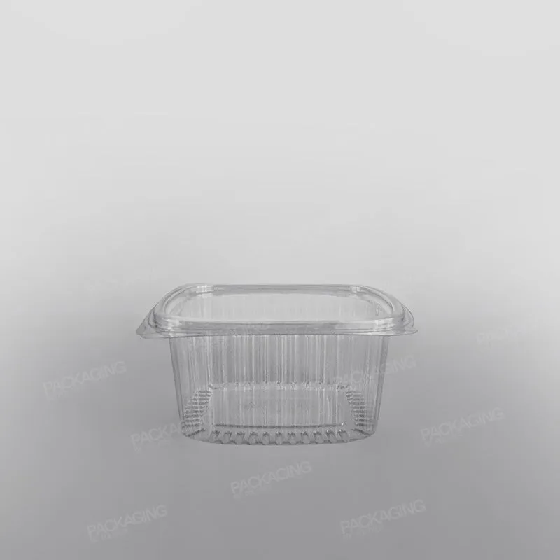 Somoplast Clear Hinged Rectangular Plastic Container