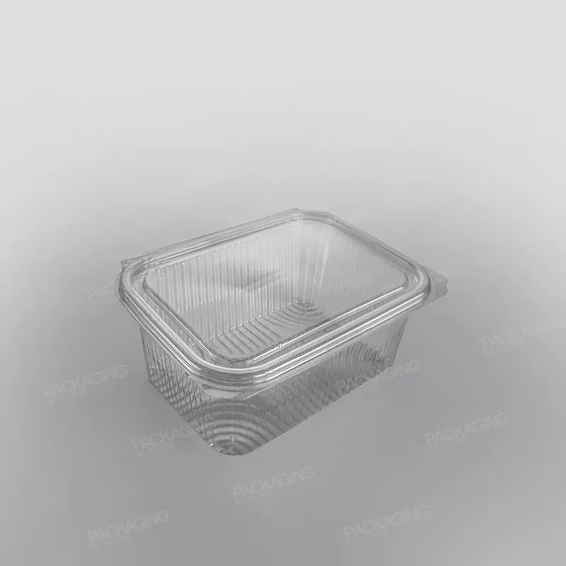 Somoplast Clear Hinged Rectangular Plastic Container