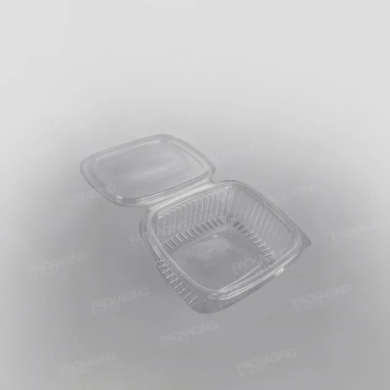 Somoplast Clear Hinged Rectangular Plastic Container