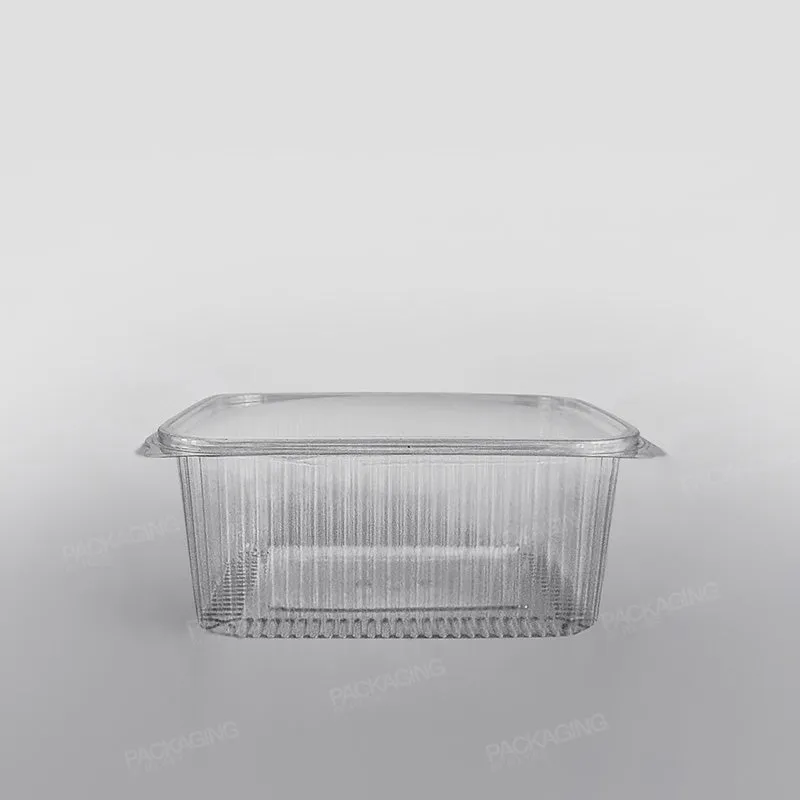 Somoplast Clear Hinged Rectangular Plastic Container